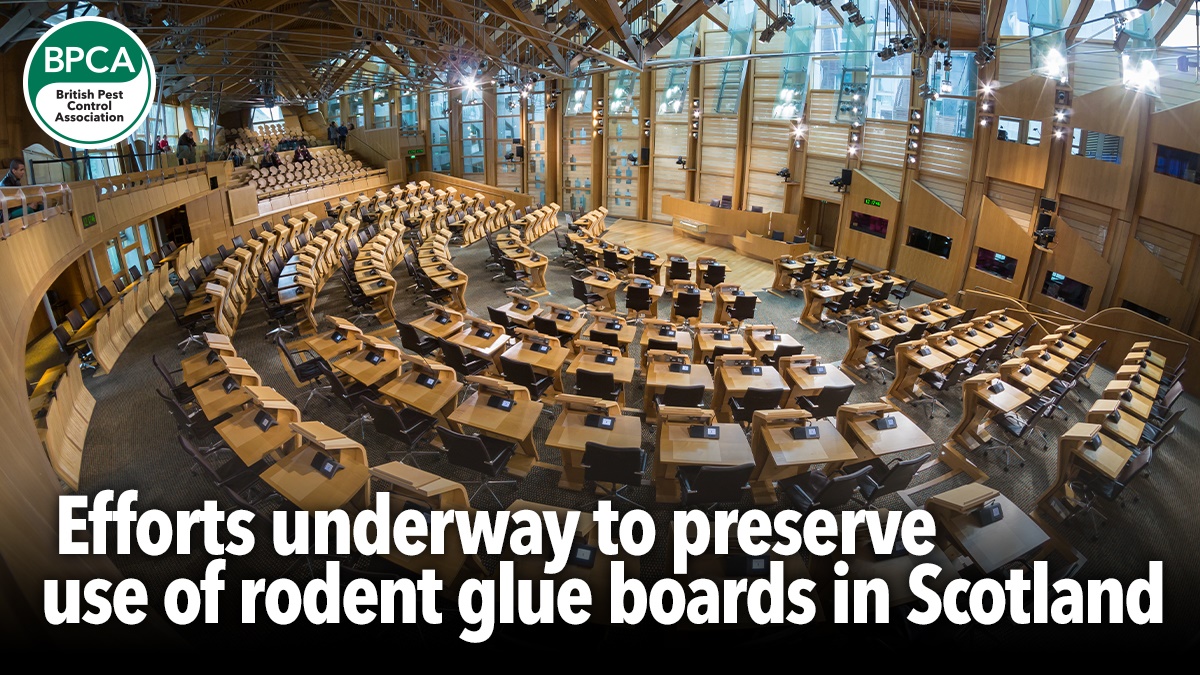 glueboards scotland hero